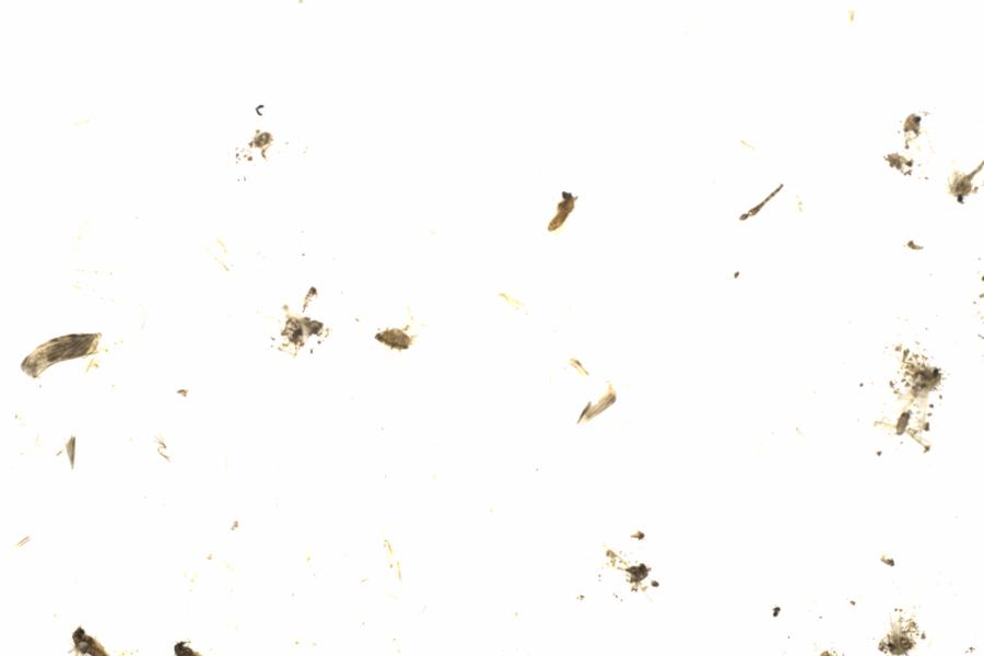 Fullscreen Image