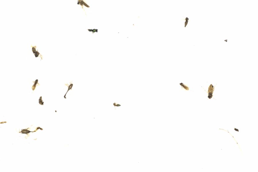 Fullscreen Image