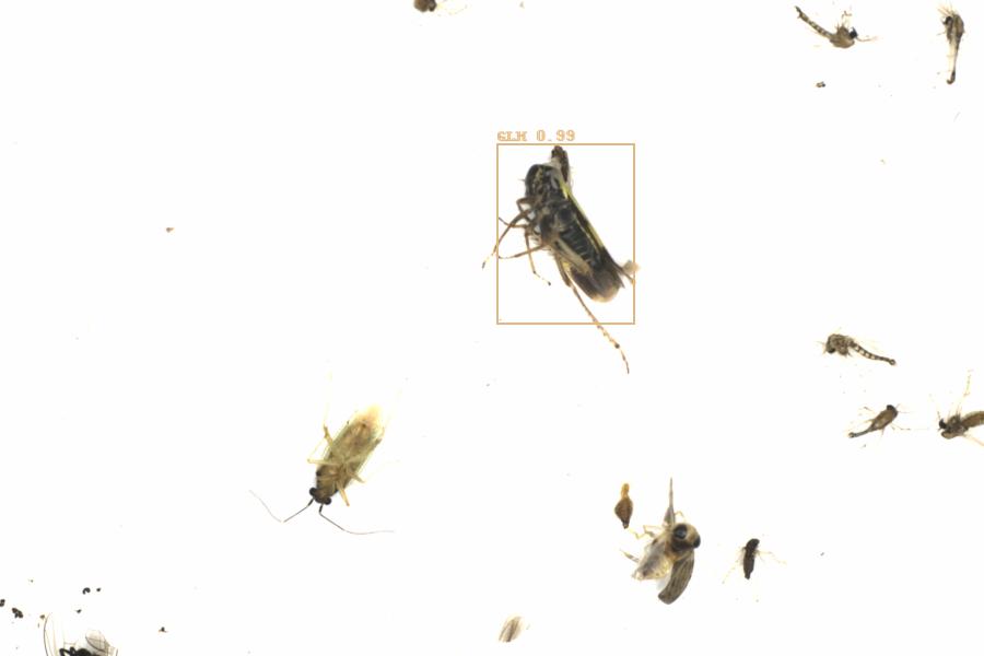 Fullscreen Image