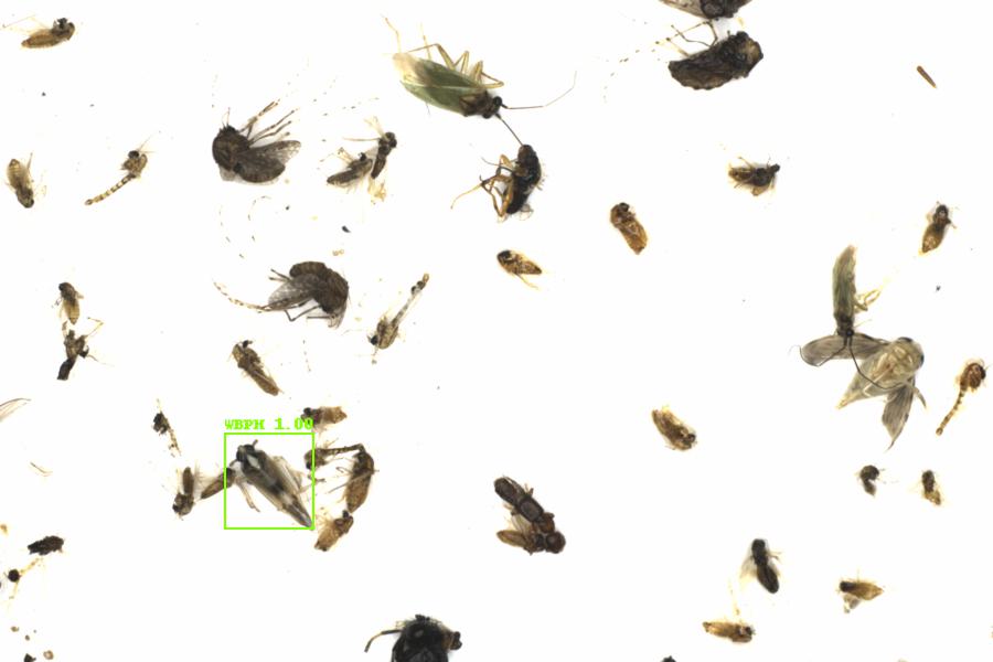 Fullscreen Image