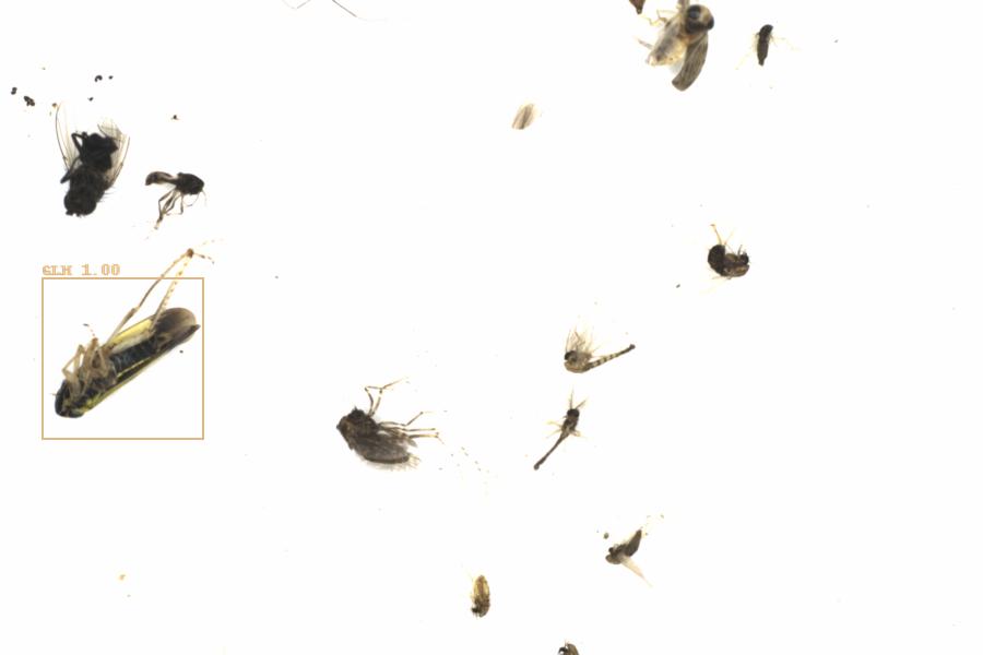 Fullscreen Image