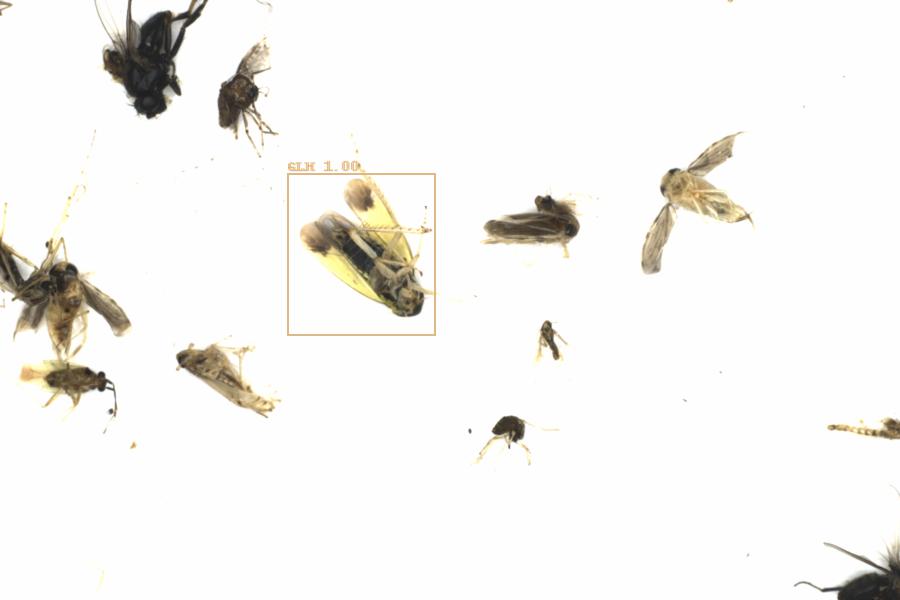 Fullscreen Image