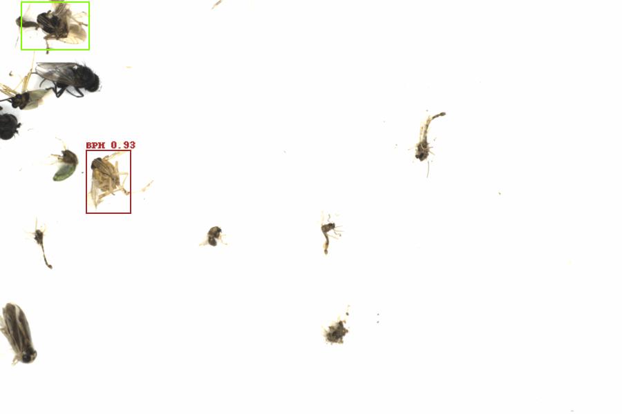 Fullscreen Image
