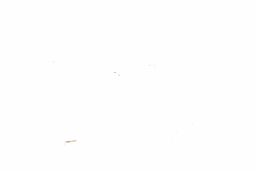 Fullscreen Image