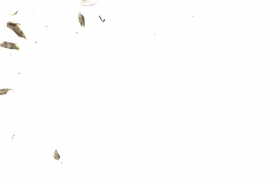 Fullscreen Image