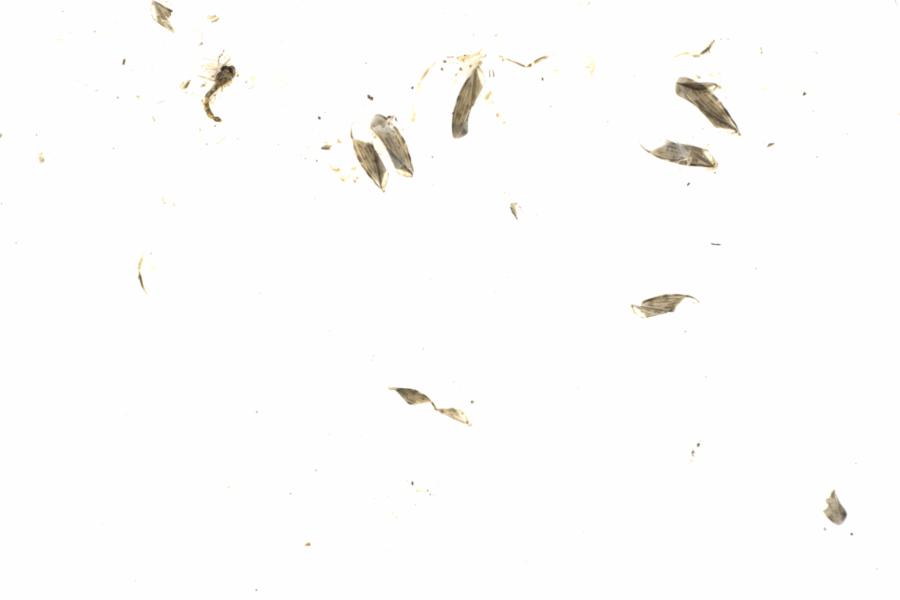 Fullscreen Image