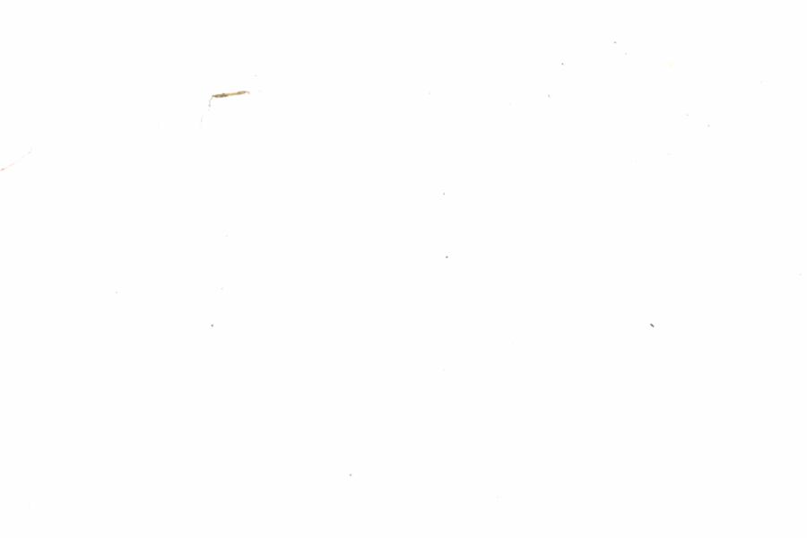 Fullscreen Image