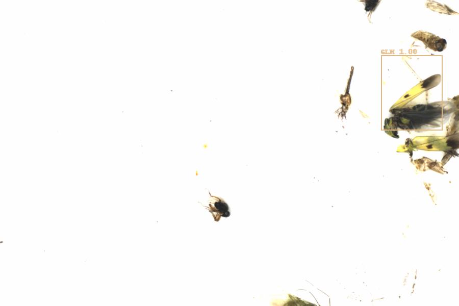 Fullscreen Image