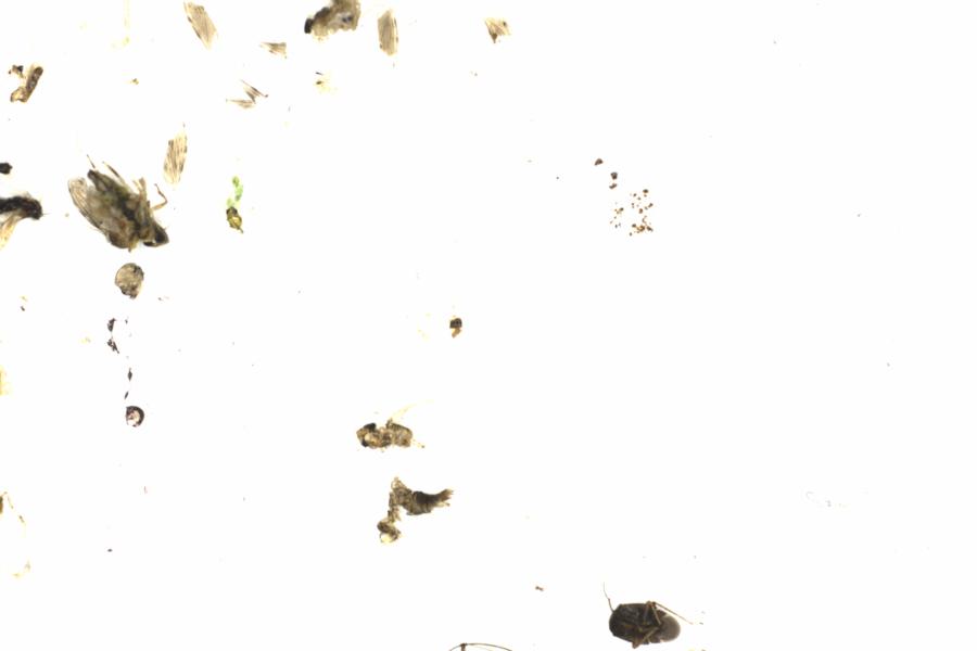 Fullscreen Image
