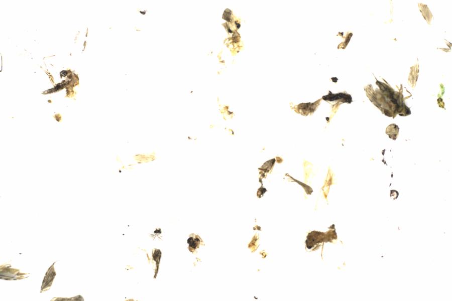 Fullscreen Image