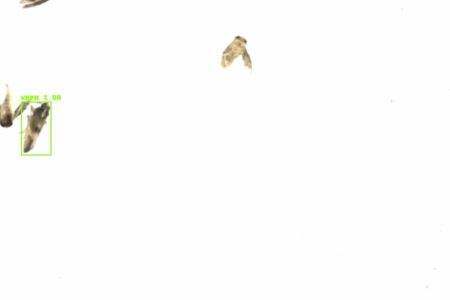 Fullscreen Image