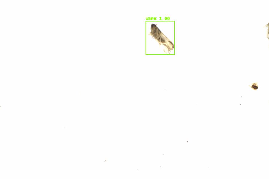 Fullscreen Image