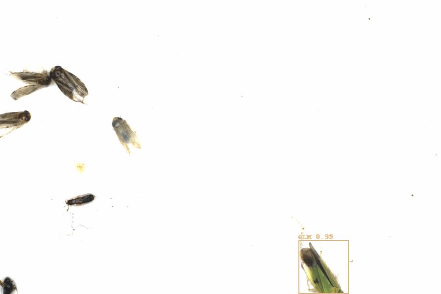 Fullscreen Image