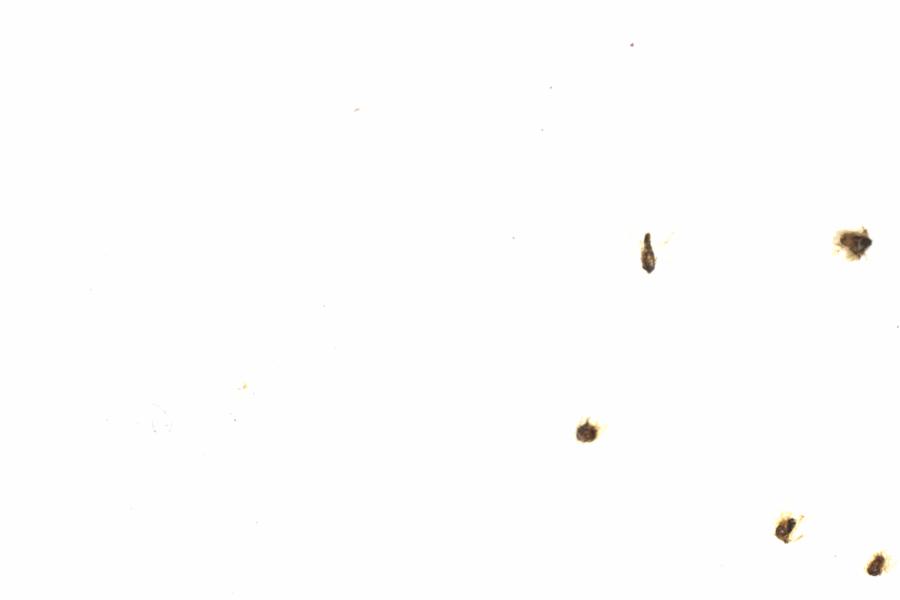 Fullscreen Image