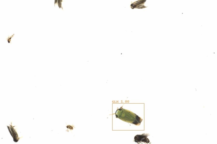 Fullscreen Image