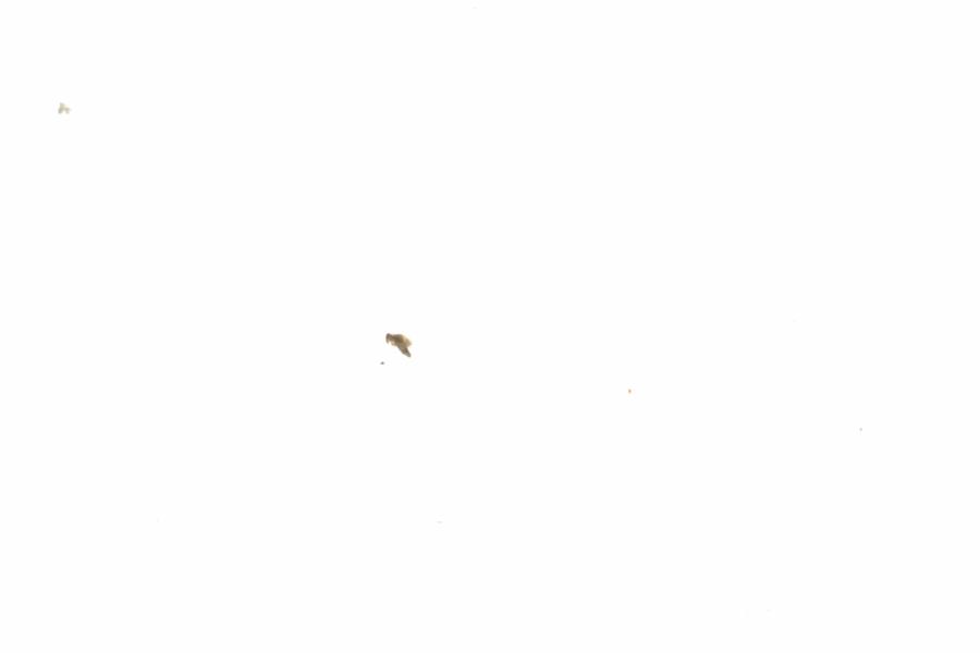Fullscreen Image