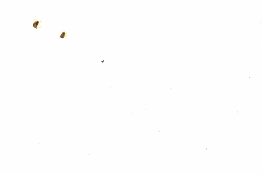Fullscreen Image
