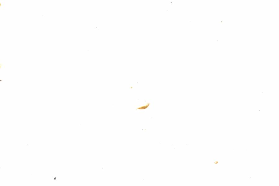 Fullscreen Image