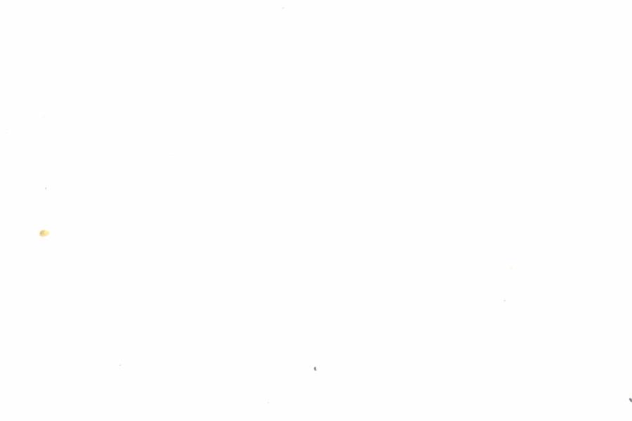 Fullscreen Image