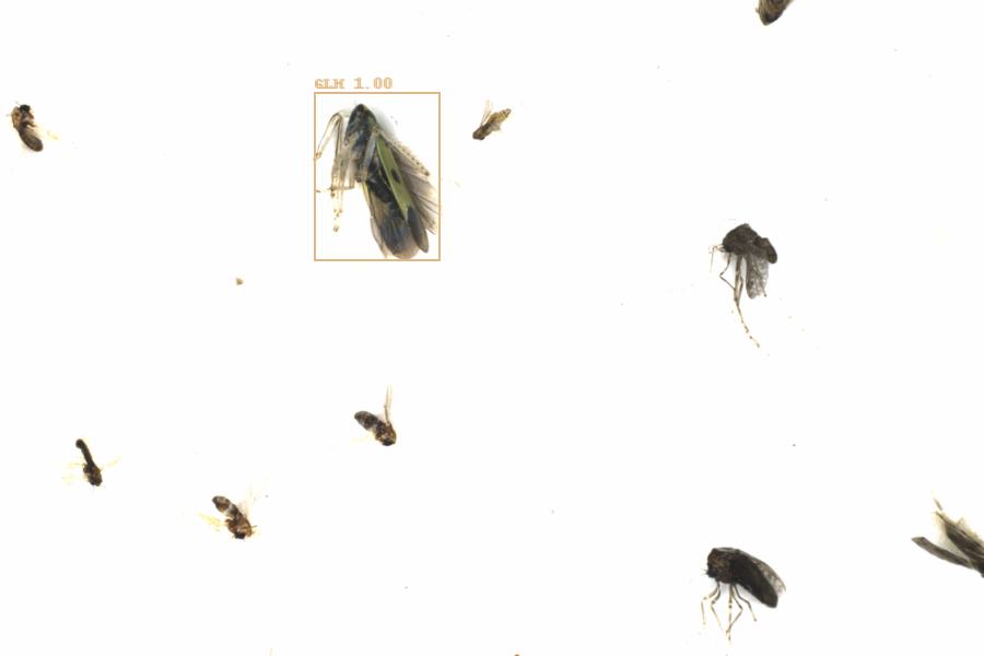 Fullscreen Image