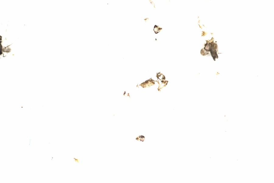 Fullscreen Image