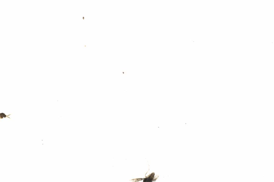 Fullscreen Image