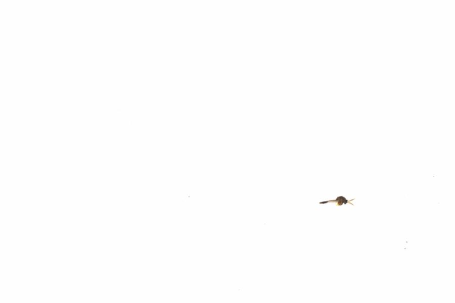 Fullscreen Image