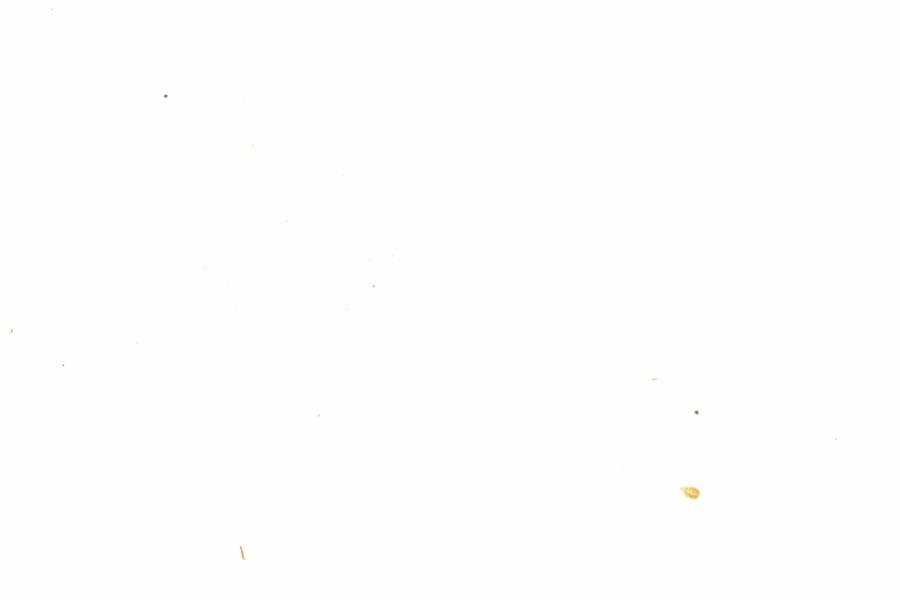 Fullscreen Image