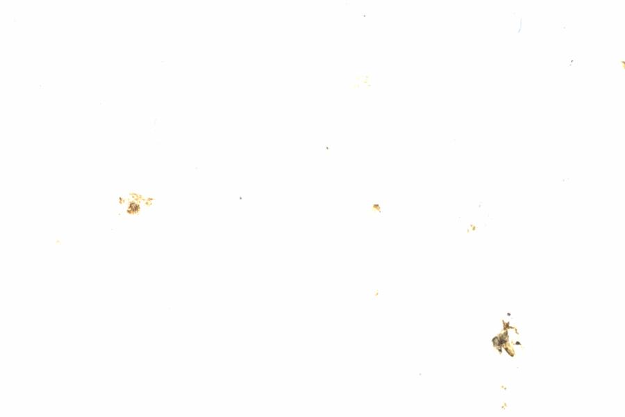 Fullscreen Image