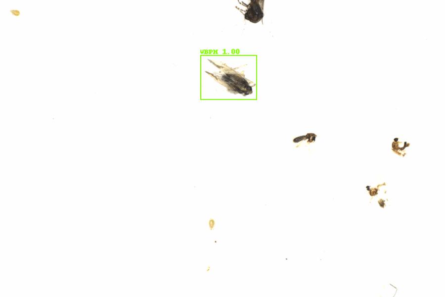 Fullscreen Image