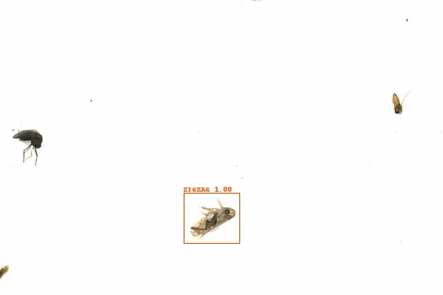 Fullscreen Image