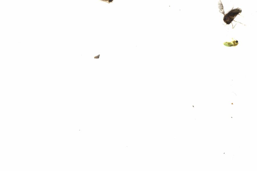 Fullscreen Image