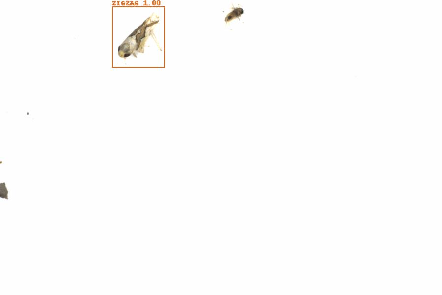 Fullscreen Image