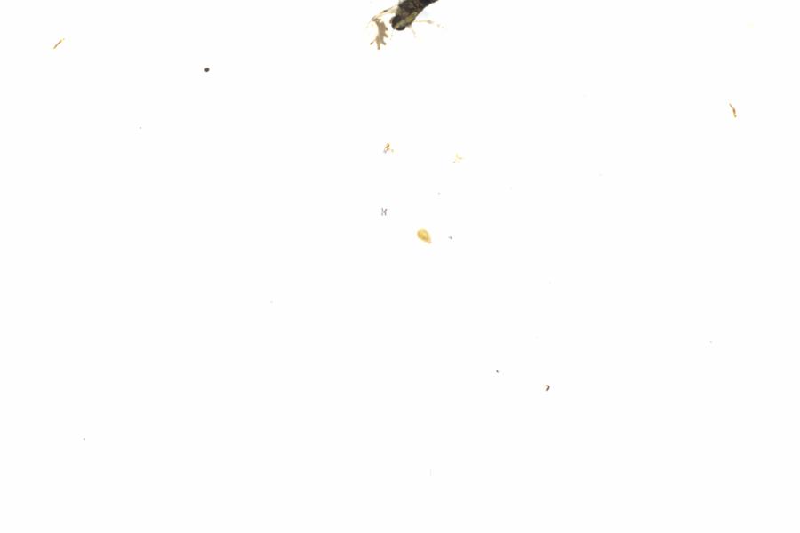 Fullscreen Image