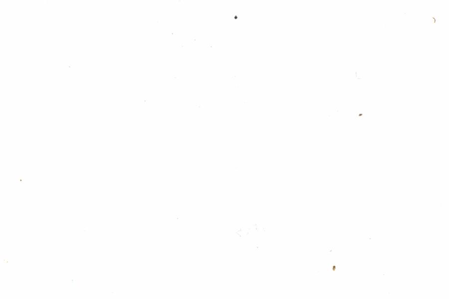 Fullscreen Image