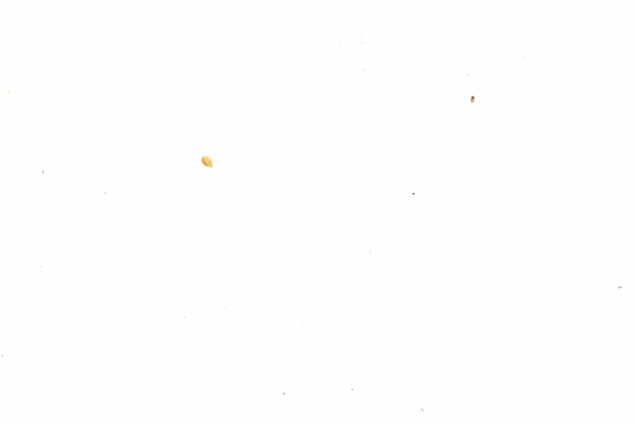Fullscreen Image