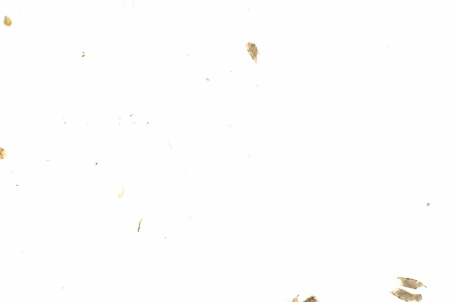 Fullscreen Image