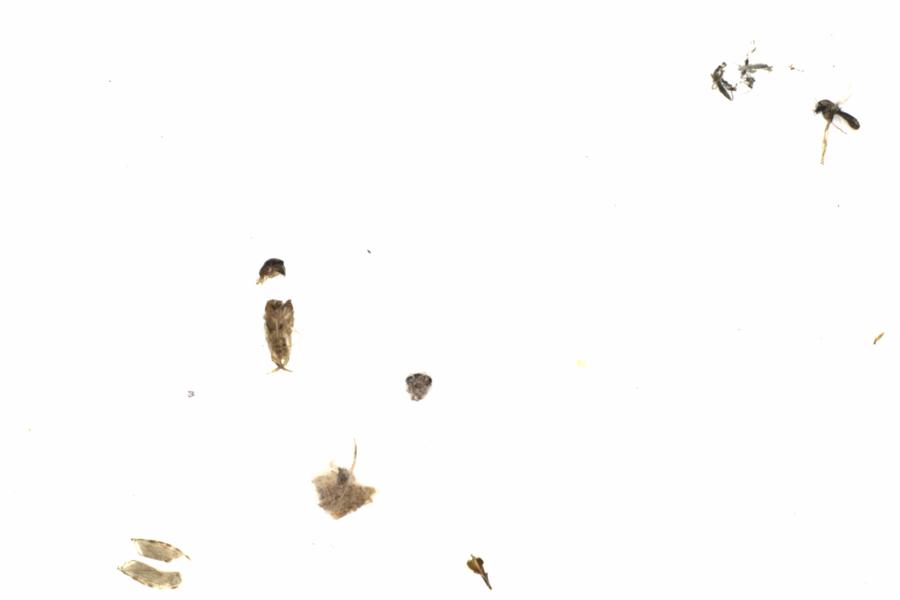 Fullscreen Image