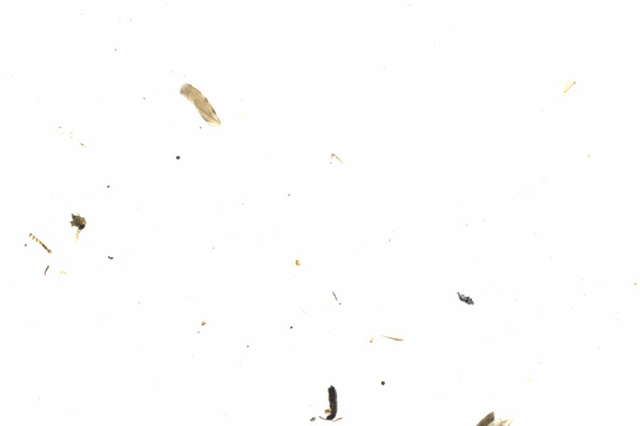 Fullscreen Image
