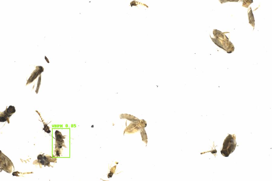Fullscreen Image