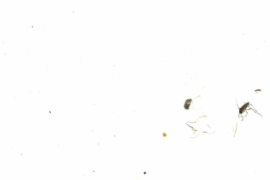 Fullscreen Image