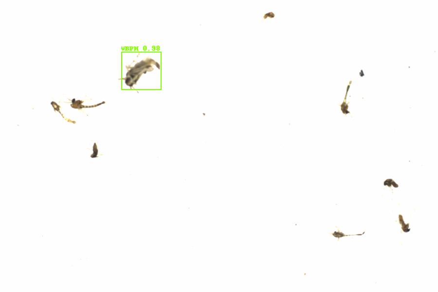 Fullscreen Image