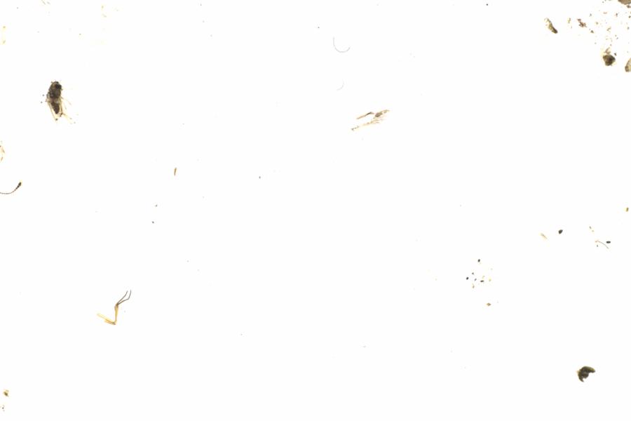 Fullscreen Image