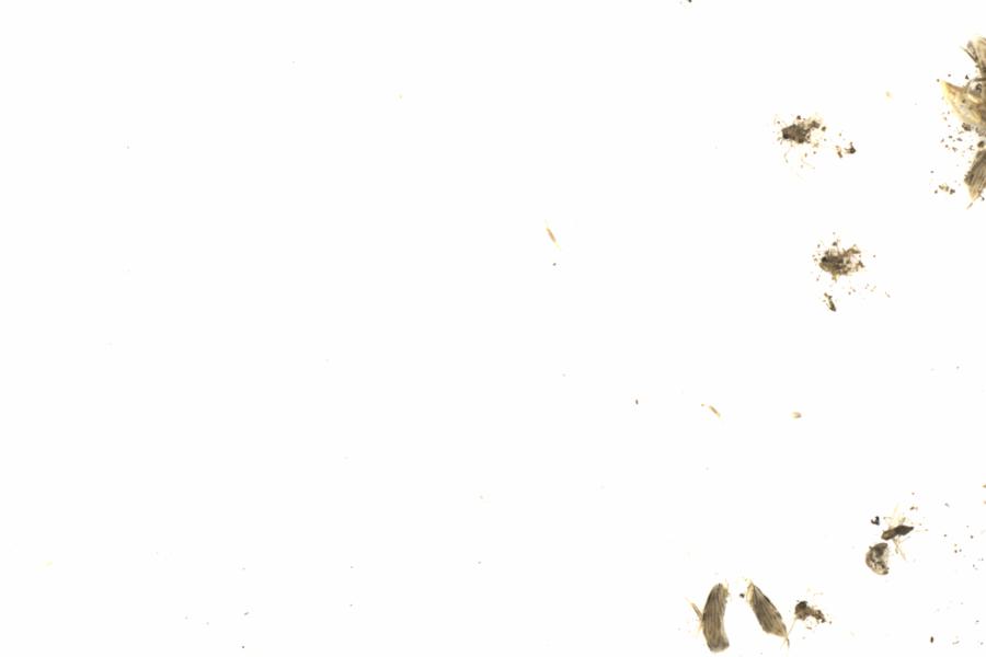 Fullscreen Image