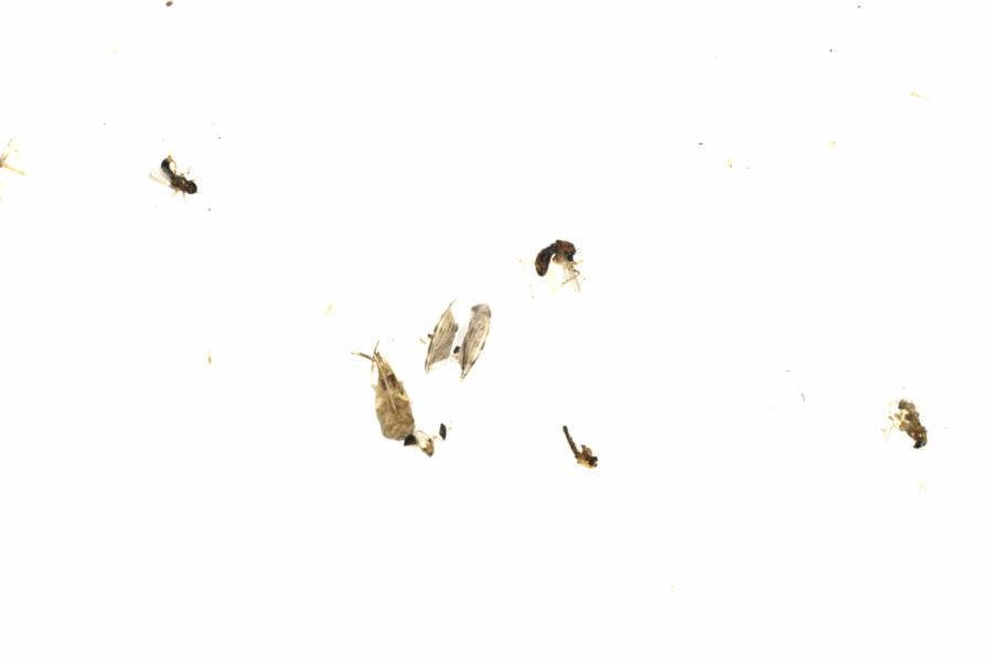 Fullscreen Image