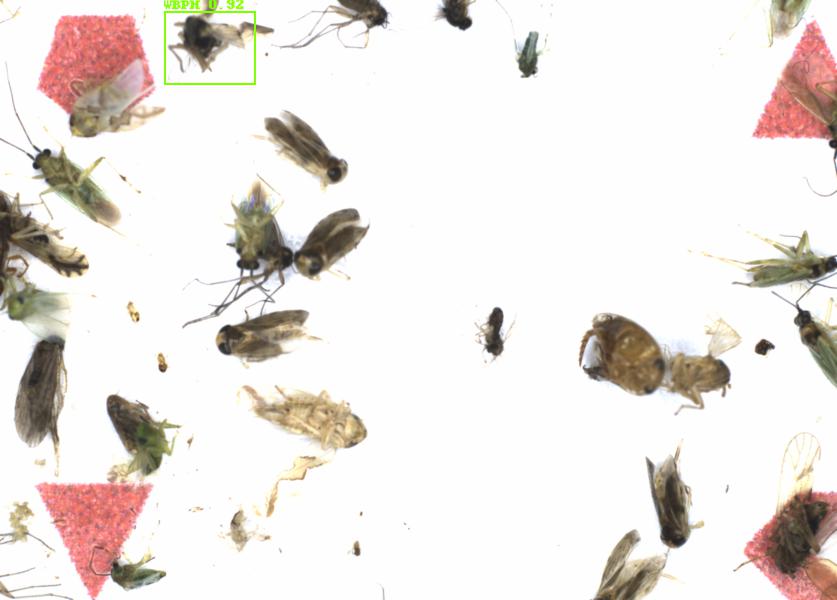 Fullscreen Image