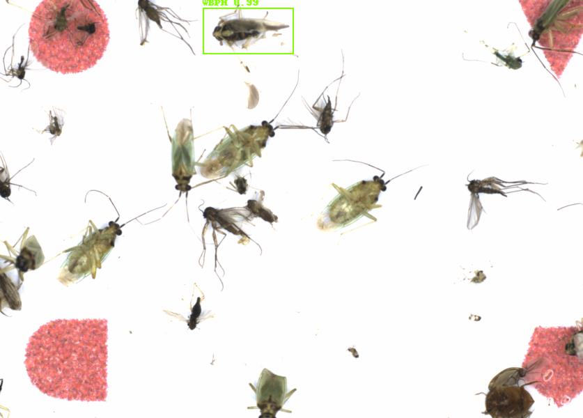 Fullscreen Image