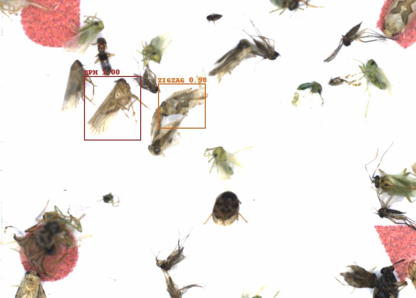 Fullscreen Image
