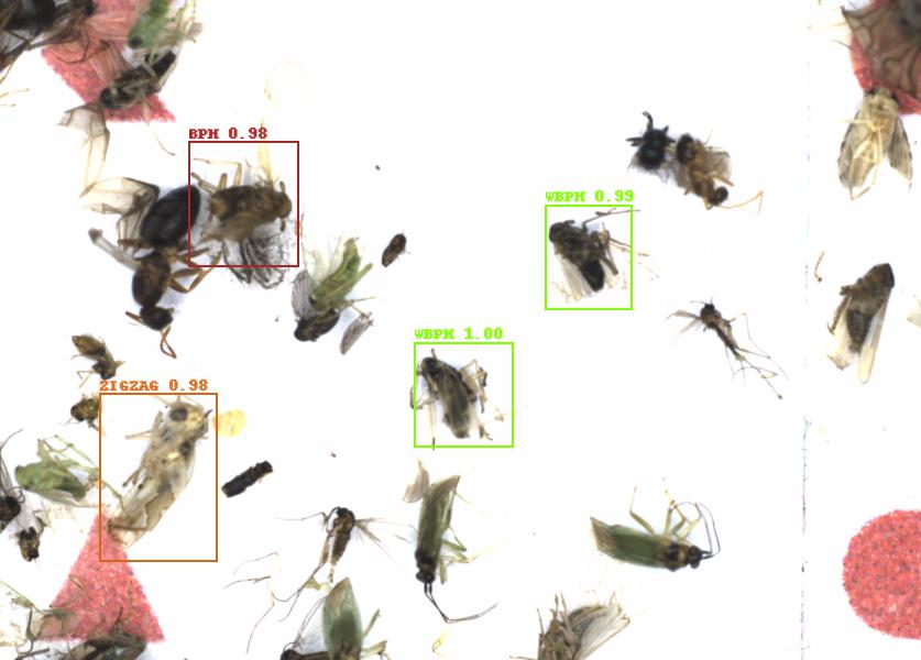 Fullscreen Image