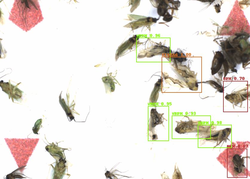 Fullscreen Image